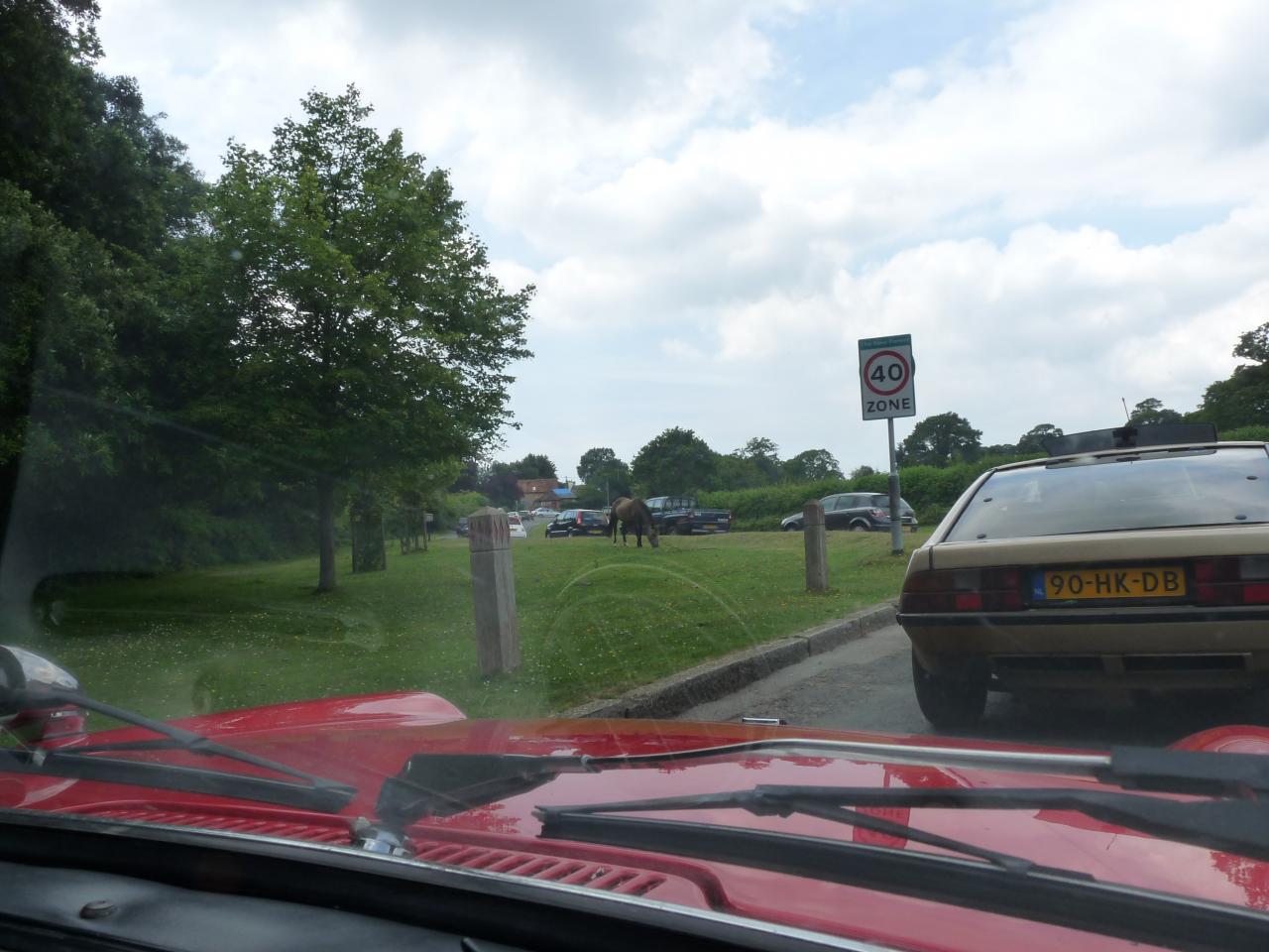 Rally in the New Forest