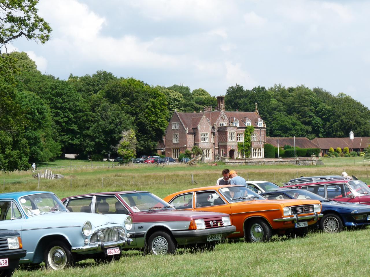 Rally in the New Forest